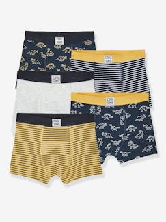 Menino 2-14 anos-Roupa interior-Slips, Boxers -Lote de 5 boxers stretch Dino, para menino