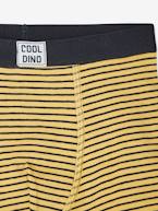 Lote de 5 boxers stretch Dino, para menino AZUL ESCURO ESTAMPADO 