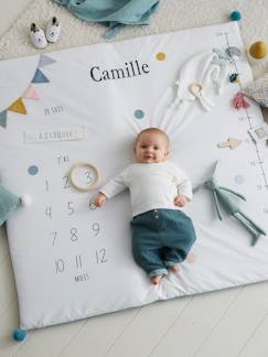 Personalizáveis-Brinquedos-Primeira idade-Tapete cenário de fotografias personalizável, para bebé