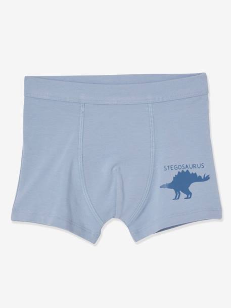 Lote de 7 boxers stretch Dinossauros, para menino-Menino 2-14 anos-Vertbaudet