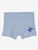 Lote de 7 boxers stretch Dinossauros, para menino BRANCO CLARO LISO 