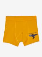 Lote de 7 boxers stretch Dinossauros, para menino BRANCO CLARO LISO 