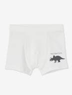 Lote de 7 boxers stretch Dinossauros, para menino BRANCO CLARO LISO 