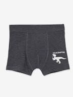 Lote de 7 boxers stretch Dinossauros, para menino BRANCO CLARO LISO 