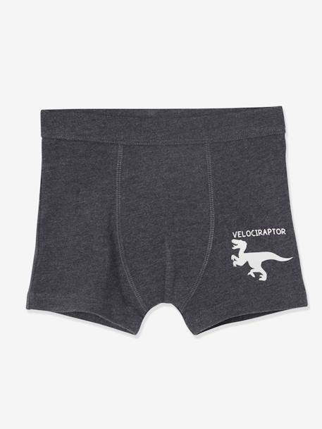 Lote de 7 boxers stretch Dinossauros, para menino BRANCO CLARO LISO 