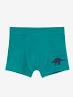 Lote de 7 boxers stretch Dinossauros, para menino BRANCO CLARO LISO 