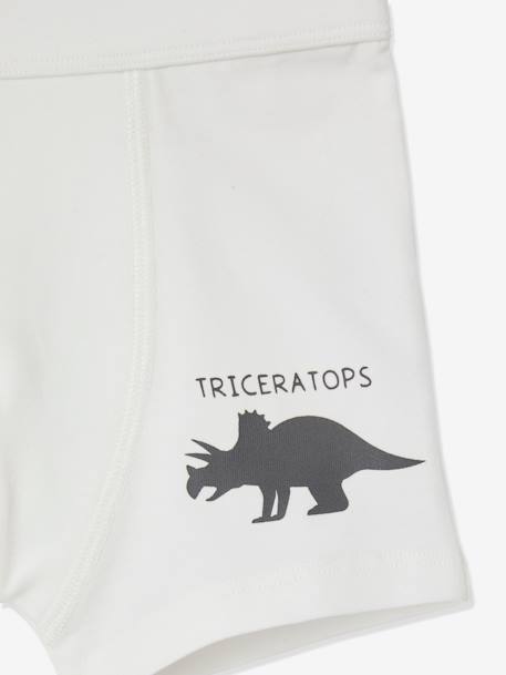 Lote de 7 boxers stretch Dinossauros, para menino BRANCO CLARO LISO 