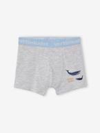 Lote de 5 boxers stretch baleias, para menino, Oeko Tex® AZUL CLARO ESTAMPADO 