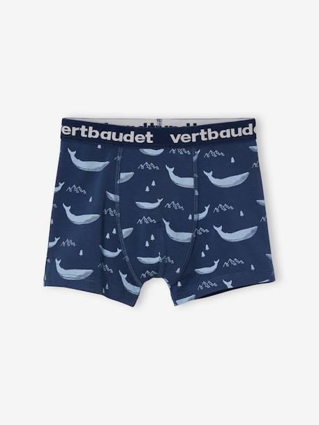 Lote de 5 boxers stretch baleias, para menino, Oeko Tex® AZUL CLARO ESTAMPADO 