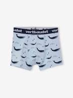 Lote de 5 boxers stretch baleias, para menino, Oeko Tex® AZUL CLARO ESTAMPADO 