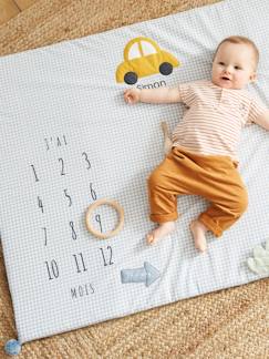 Personalizáveis-Brinquedos-Tapete personalizável com cenário para fotografias de bebé, em gaze de algodão, Carrinhos