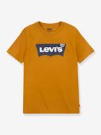 T-shirt Batwing da Levi's® azul+branco 