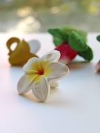 Hawaii, a Flor - OLI & CAROL branco 