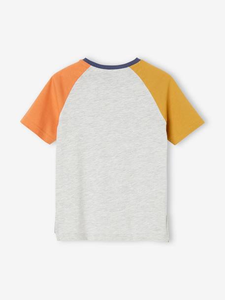 T-shirt colorblock tubarão, para menino cinza mesclado 