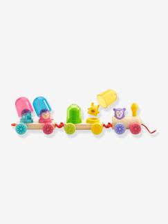 Brinquedos-Primeira idade-Primeiras manipulações-Brinquedo para puxar, Rainbow Train, da DJECO