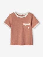 T-shirt salamandras em algodão com efeito mesclado, mangas curtas, para bebé noz pecã 