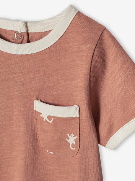 T-shirt salamandras em algodão com efeito mesclado, mangas curtas, para bebé noz pecã 