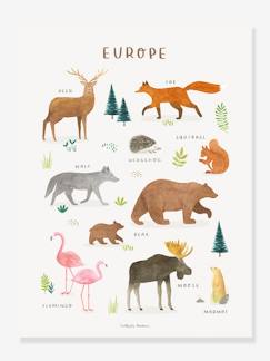 Têxtil-lar e Decoração-Decoração-Póster Animais da Europa, Living Earth da LILIPINSO