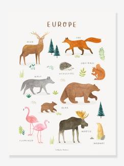 -Póster Animais da Europa, Living Earth da LILIPINSO