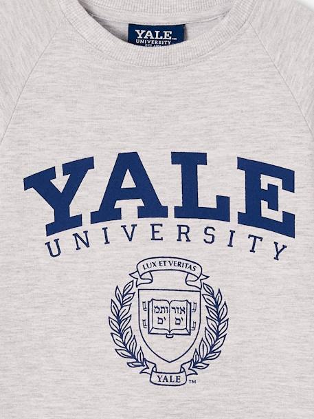 Vestido estilo sweat Yale®, para menina cinza mesclado 