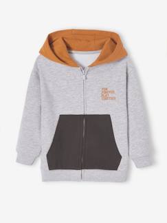 Menino 2-14 anos-Camisolas, casacos de malha, sweats-Sweatshirts-Casaco colorblock de desporto, com fecho e capuz, para menino