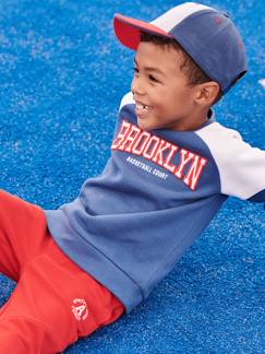 Menino 2-14 anos-Camisolas, casacos de malha, sweats-Sweat de desporto colorblock, team Brooklyn, para menino