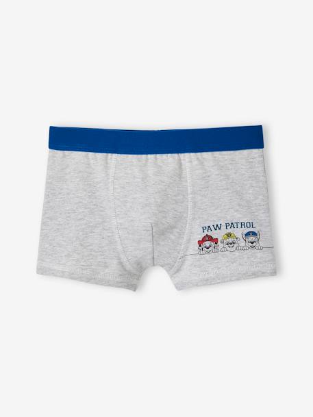 Lote de 3 boxers Patrulha Pata®, para criança azul-elétrico 