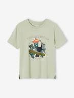 T-shirt com tucano, para menino verde-salva 