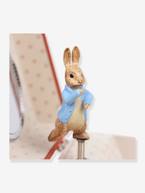 Caixa de música em forma de cubo, Peter Rabbit - TROUSSELIER vermelho estampado 