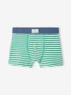 Lote de 5 boxers stretch, skate, para menino verde 