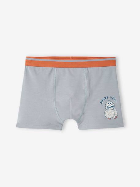 Lote de 5 boxers stretch Iéti, para menino azul-acinzentado 