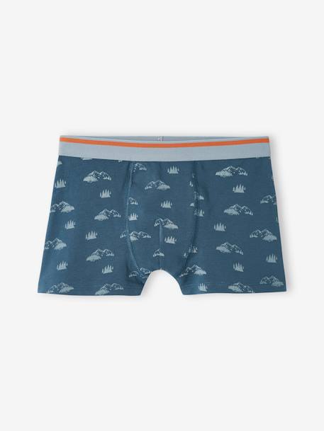 Lote de 5 boxers stretch Iéti, para menino azul-acinzentado 