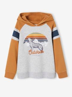 Menino 2-14 anos-Sweat com capuz e motivo gráfico, mangas raglan, para menino