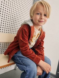 Menino 2-14 anos-Camisa em veludo, com capuz, efeito 2 em 1, para menino