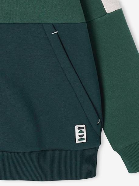 Casaco de desporto, com fecho e capuz, efeito colorblock, para menino bordeaux+cinza mesclado+ocre+verde-abeto 