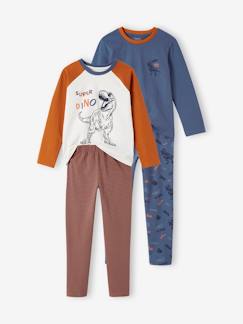 Menino 2-14 anos-Lote de 2 pijamas dinossauro, para menino