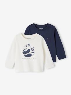 Bebé 0-36 meses-T-shirts-T-shirts-Lote de 2 camisolas Basics, de mangas compridas, para bebé