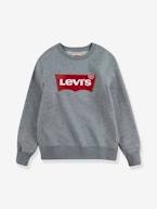 Sweat Batwing Crewneck da Levi's®, para criança cinzento 