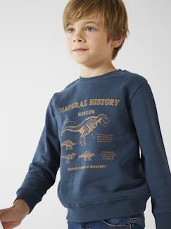 Menino 2-14 anos-Camisolas, casacos de malha, sweats-Sweatshirts-Sweat Basics, motivos gráficos, para menino
