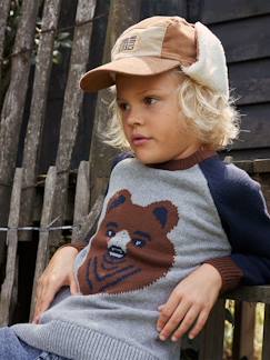 Menino 2-14 anos-Camisola em jacquard com urso, mangas raglan, para menino