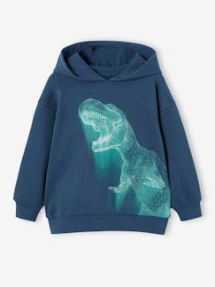 Menino 2-14 anos-Camisolas, casacos de malha, sweats-Sweat com capuz e dinossauro néon, para menino