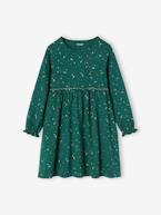 Vestido de cerimónia, estampado com estrelas irisadas, para menina marinho+verde+vermelho 