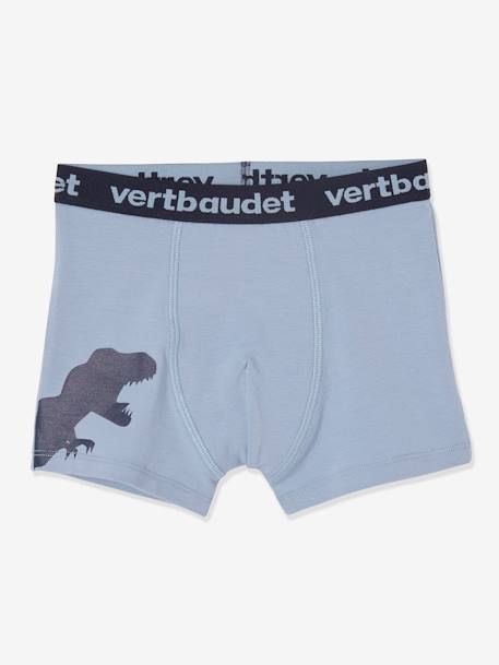 Lote de 5 boxers stretch Dinossauros, para menino CINZENTO CLARO ESTAMPADO 