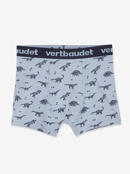 Lote de 5 boxers stretch Dinossauros, para menino CINZENTO CLARO ESTAMPADO 