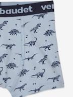 Lote de 5 boxers stretch Dinossauros, para menino CINZENTO CLARO ESTAMPADO 