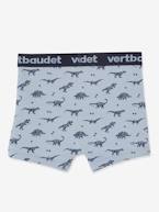 Lote de 5 boxers stretch Dinossauros, para menino CINZENTO CLARO ESTAMPADO 