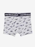 Lote de 5 boxers stretch Dinossauros, para menino CINZENTO CLARO ESTAMPADO 