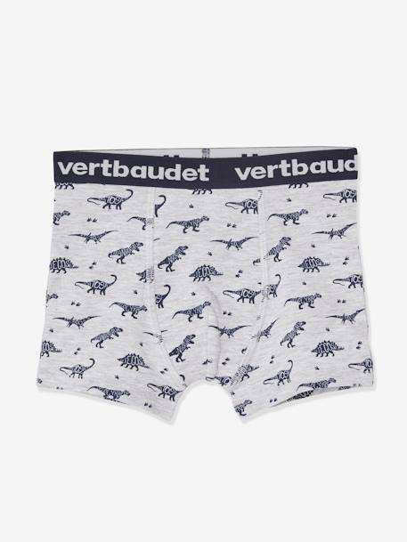 Lote de 5 boxers stretch Dinossauros, para menino CINZENTO CLARO ESTAMPADO 