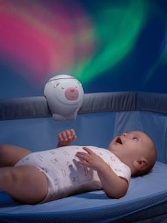 Têxtil-lar e Decoração-Decoração-Iluminação-Projetor Urso Polar, CHICCO