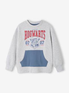 Menino 2-14 anos-Sweat Harry Potter®, para criança